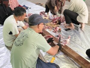 Pemotongan Hewan Kurban Di SMAI 2 Jakarta