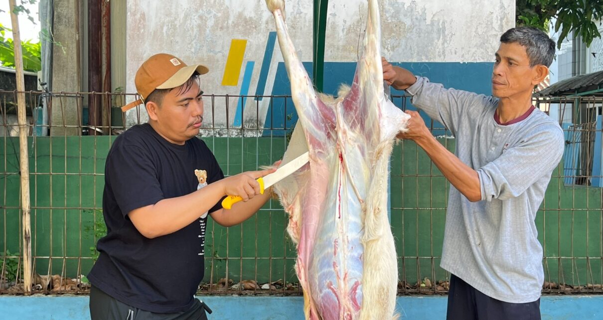 Pemotongan Hewan Kurban Di SMAI 2 Jakarta